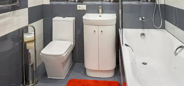 Hansgrohe Shaving Mirror Toms River